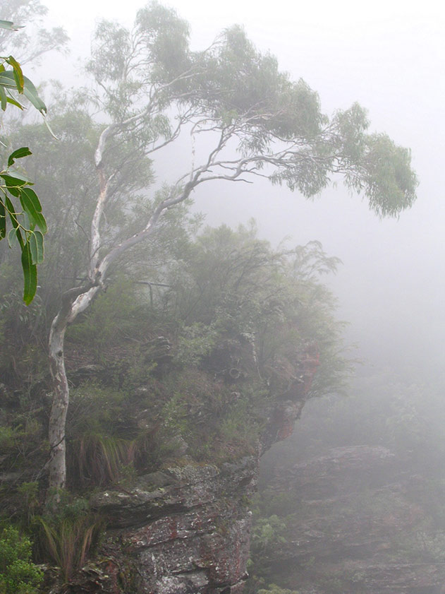 Foggy Mountains in Australia